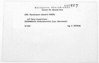 Physalospora alpestris image
